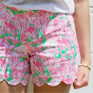 Lilly Pulitzer Buttercup Shorts Flamingo Print size 0